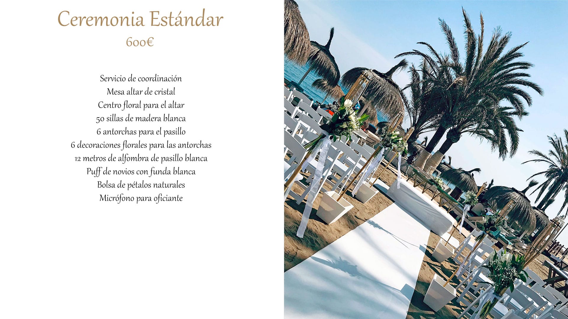005. Ceremonia Estándar@0,25x
